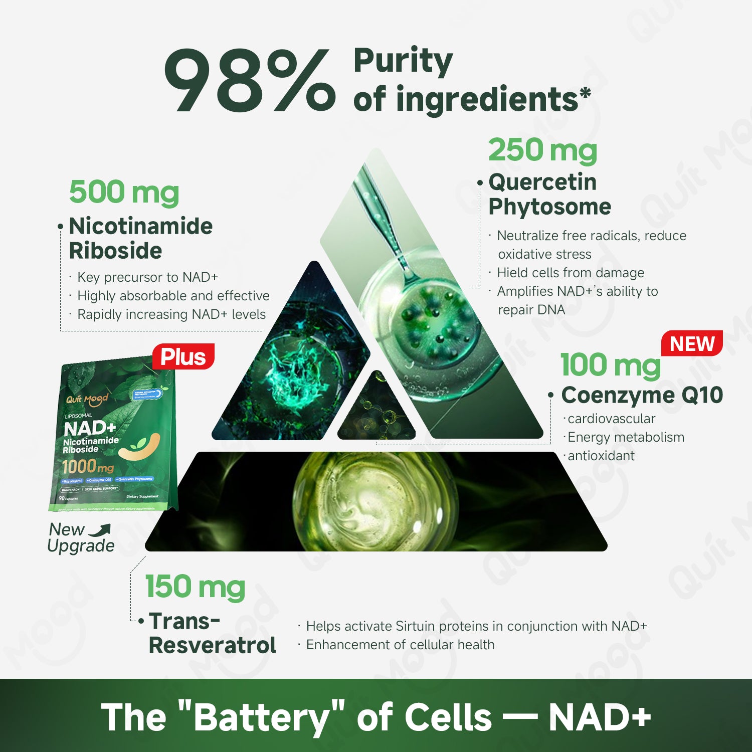 NAD+ 1 Month Subscribe & Save