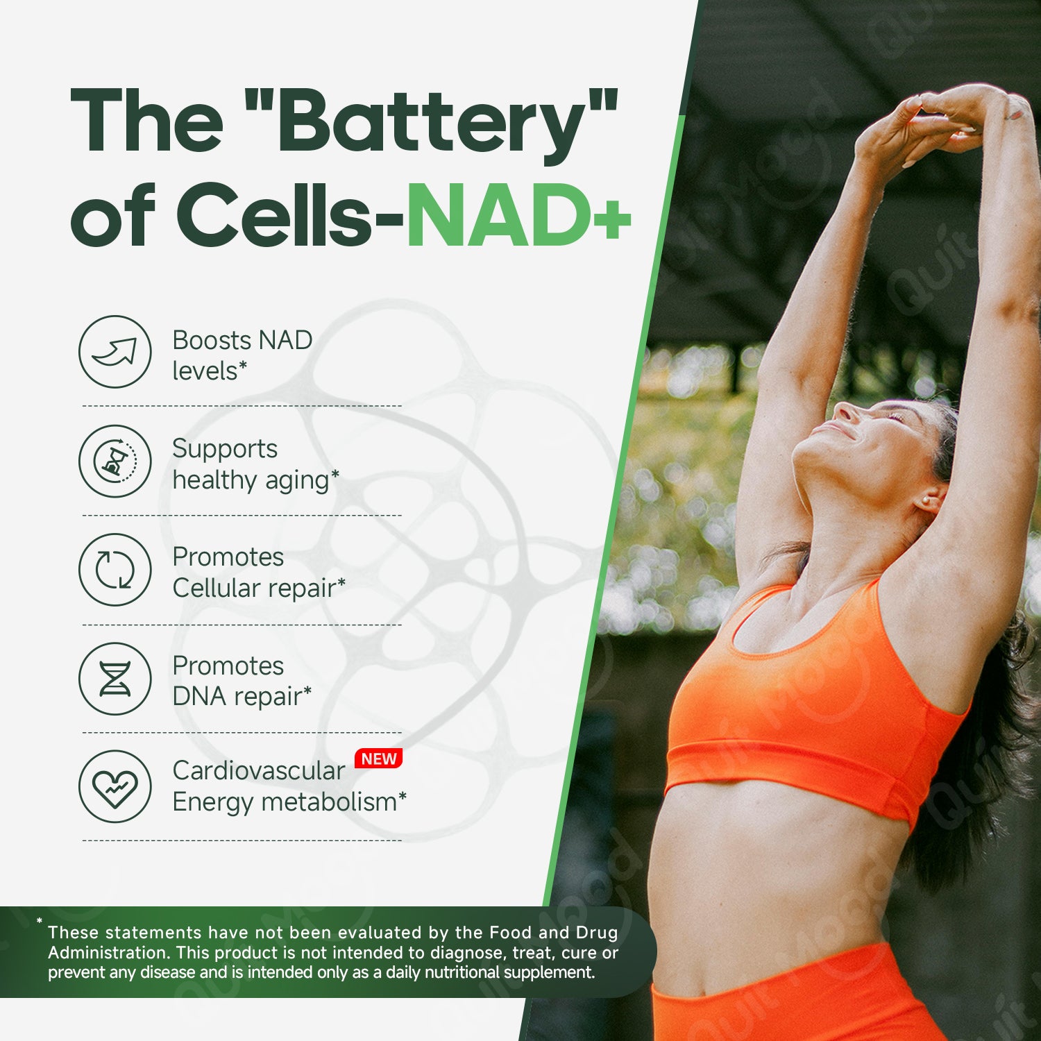 NAD+ 1 Month Subscribe & Save